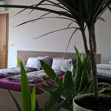 Kazinczy Guest house